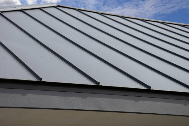 Best Roof Leak Repair  in Tavernier, FL